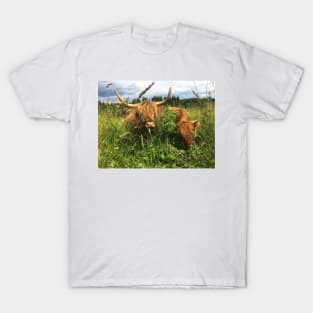 Scottish Highland Cattle Cow and Calf 2041 T-Shirt